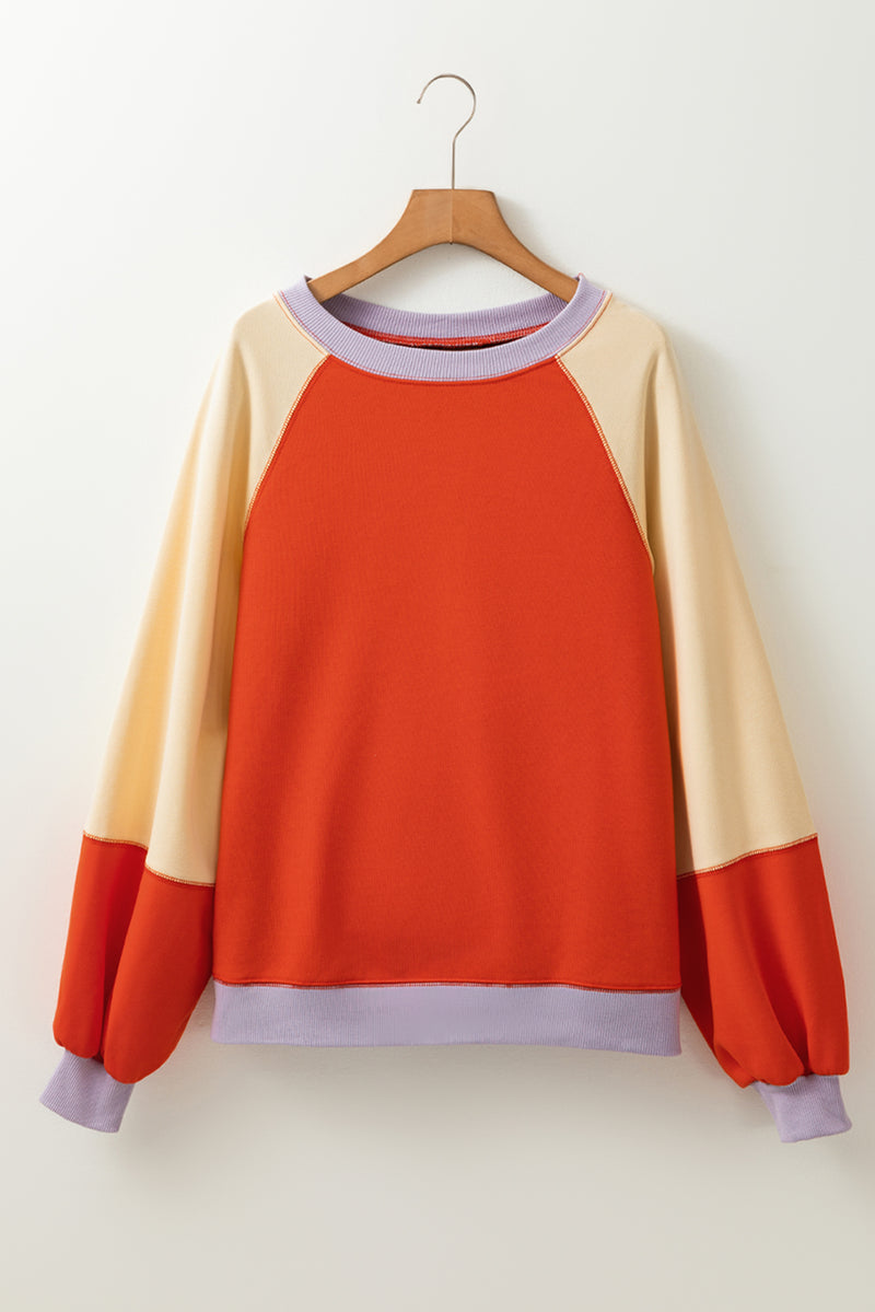 Hannah Color Block Round Neck Long Sleeve Sweatshirt