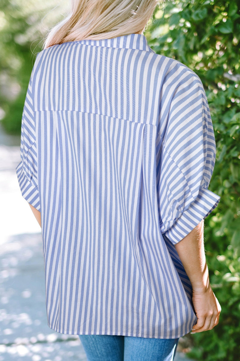 Fauna Striped Collared Neck Half Sleeve Shirt