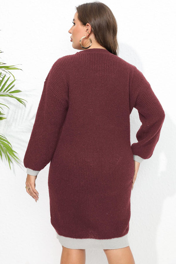 Liana Plus Size Long Sleeve Sweater Dress