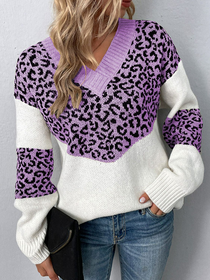 Rosaline Leopard V-Neck Dropped Shoulder Sweater